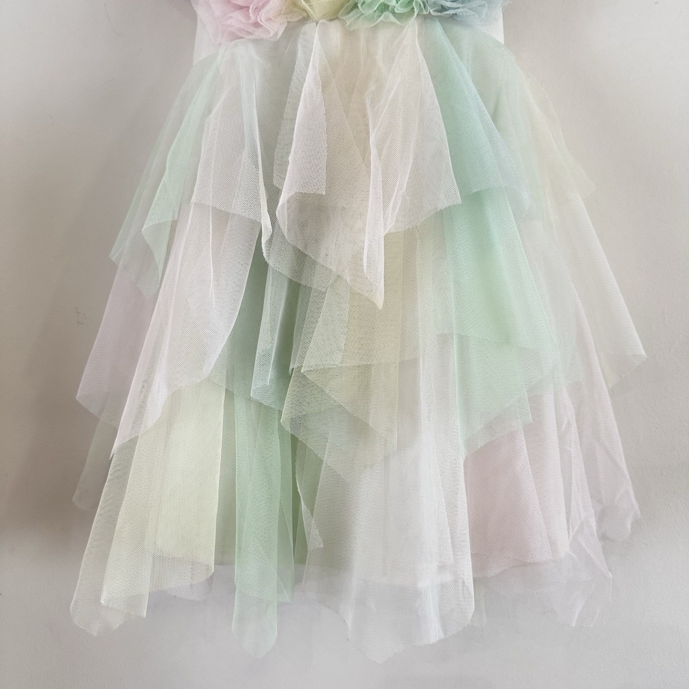 Biscotti Collezioni Baby Girl Dress Pastel Tulle Floral 24 Mos Pink Green Yellow - Picture 4 of 6